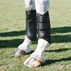 Woof Wear Double-Lock Brushing Boots - 