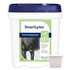 SmartLytes® Powder