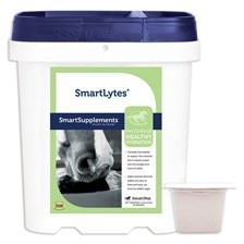 SmartLytes® Powder