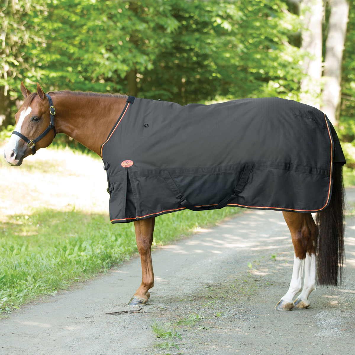 Horse Winter Heavy FREEZE 100% Wool BLAZER Blanket  2034 