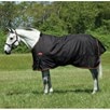 Big D Magnum Heavy Turnout Blanket - 
