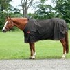 Big D Magnum Heavy Turnout Blanket - western