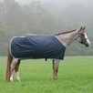 Big D Nylon Stable Sheet - Navy w/ Silver Trim