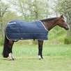 Big D Kodiak Insulated Blanket - 