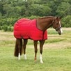 Big D Kodiak Insulated Blanket - 