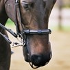 Equilibrium Net Relief&reg; Muzzle Net - Black
