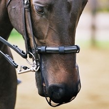 Equilibrium Net Relief® Muzzle Net