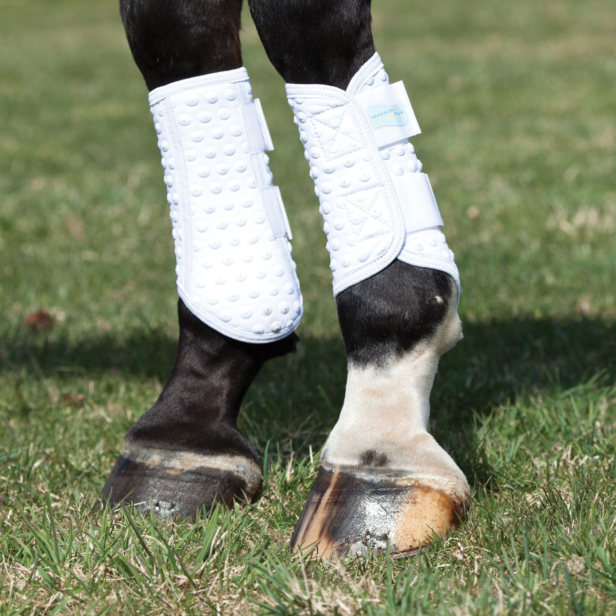 Equilibrium Stretch & Flex Training Horse Boot Exercise Wrap Black All Sizes