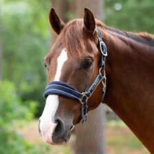Rambo® Padded Halter - Pony