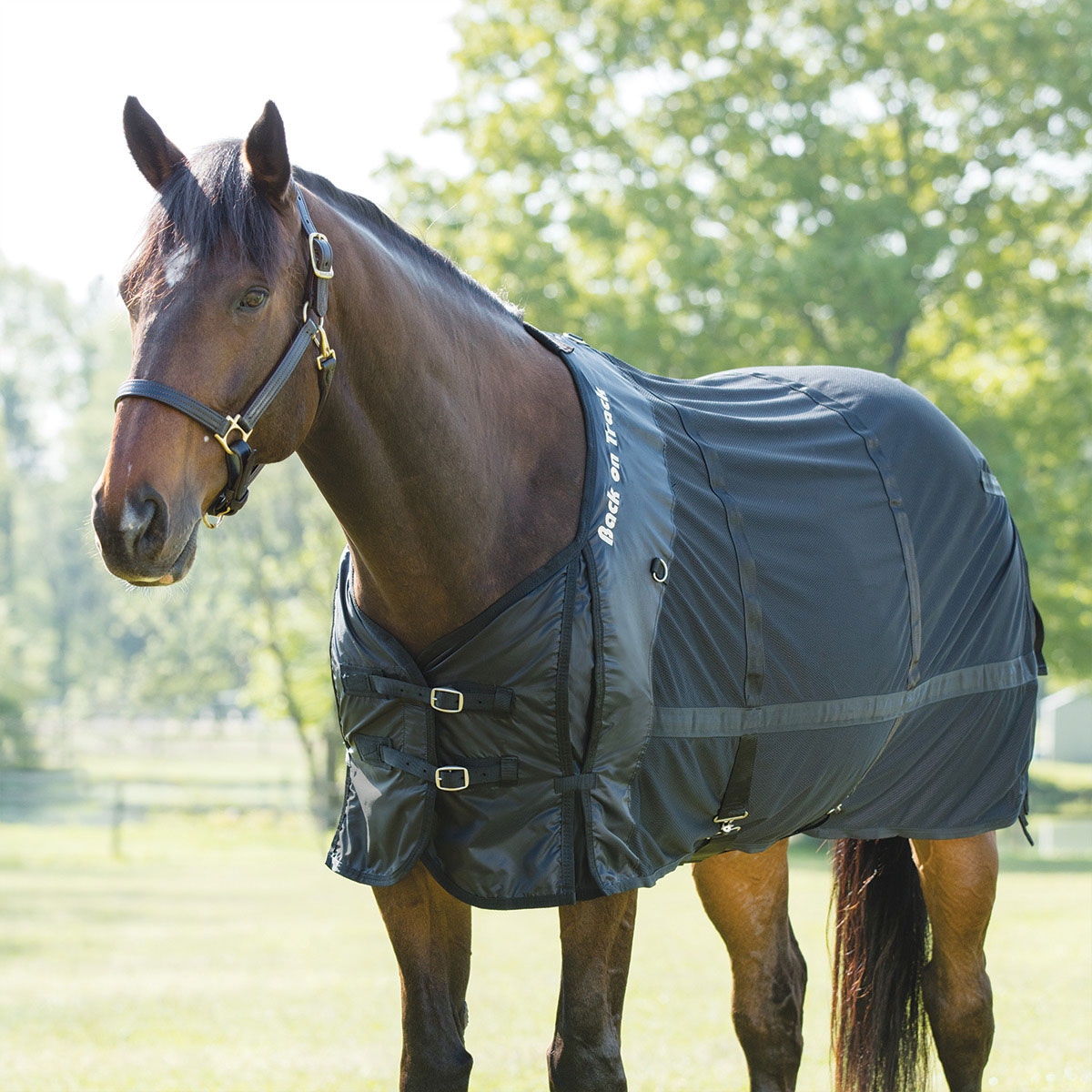BACK ON TRACK Mesh Sheet Horse Equine Warm Therapy Back Shoulder Muscles 78" 