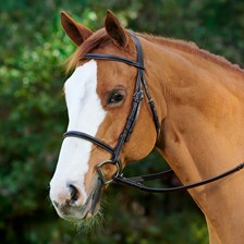Plymouth® Basic Hunter Bridle by SmartPak