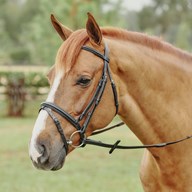 Plymouth&reg; Dressage Bridle by SmartPak