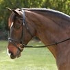 Plymouth&reg; Dressage Bridle by SmartPak - 