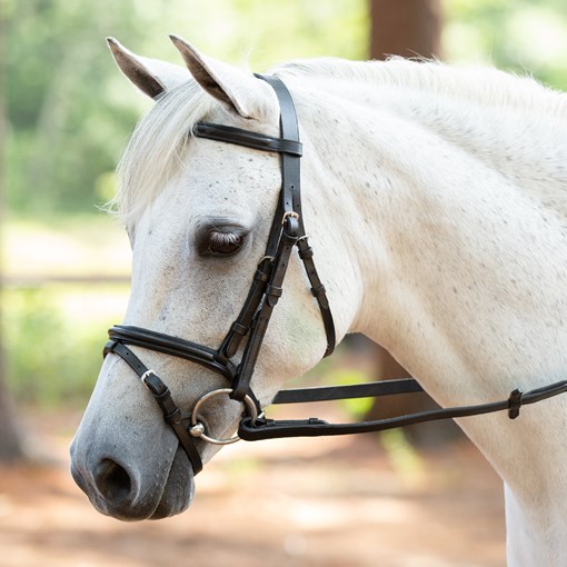 Bobby's Tack Padded Dressage Weymouth Double Bridle