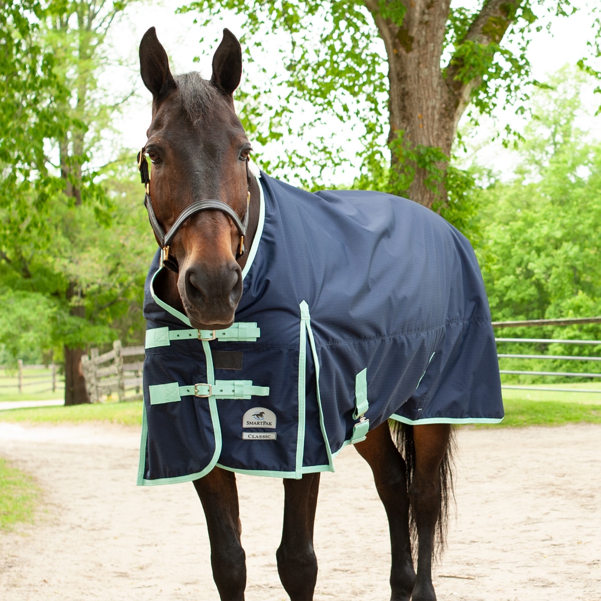 Horse Blanket Replacement Strap - Navy