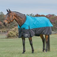 SmartPak Classic Turnout Blanket - Clearance!