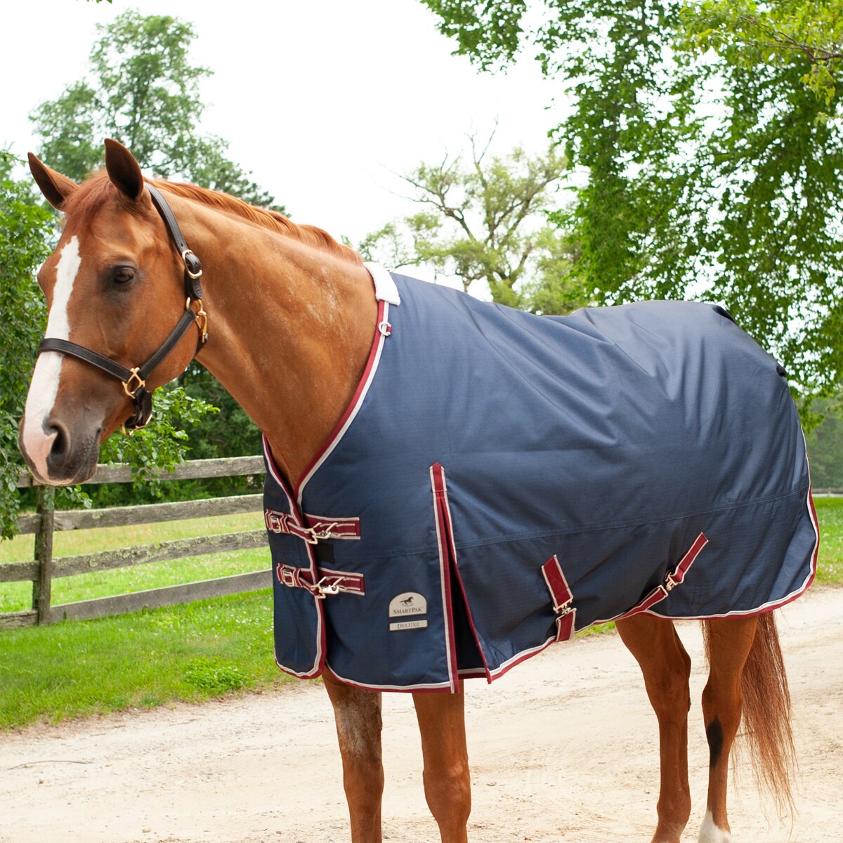 Quality Fitted Nylon Waterproof Turnout Horse Rug in 2 Tone Blue with Neck 
