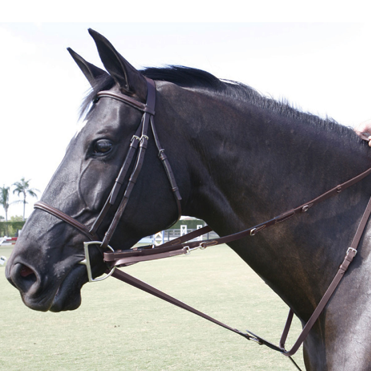 Full or Cob Sz Havana Brown Running Martingale with Neck Strap Adjustable 