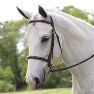 Plymouth&reg; Hunter Bridle by SmartPak