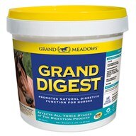 Grand Digest - Sale!