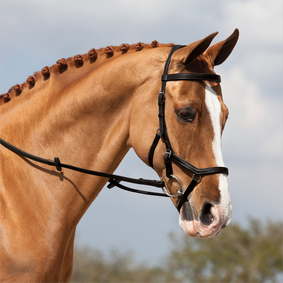 CROWN BROWBAND FOR HORSE BRIDLE IDEAL FOR SHOWS FANCY DRESS COMPETITION 