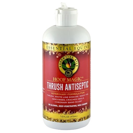 Hoof Magic Thrush Antiseptic Treatment