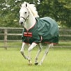 Rambo&reg; 1000D Turnout Sheet - Green w/ Red Trim