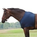 Professional's Choice VenTECH Contoured Belly Guard Jump Girth