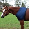 Stretchies Shoulder Guard - western