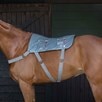 Equilibrium Massage Pad - 