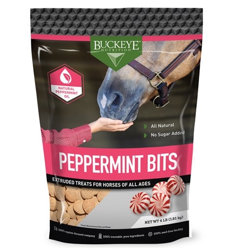 Peppermint Bits - No Sugar Added