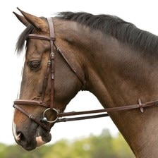 Plymouth® Flash Bridle by SmartPak