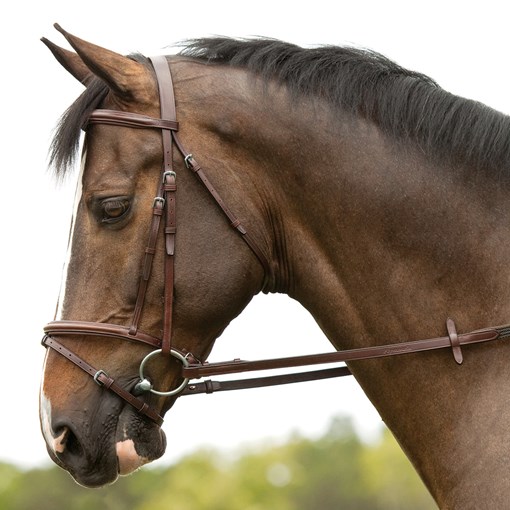 Plymouth Flash Bridle by SmartPak
