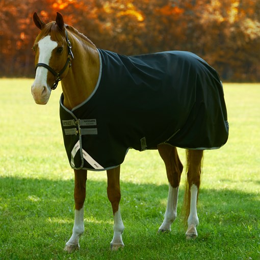 Amigo&reg; 1200D Turnout Blanket