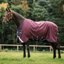 Amigo&reg; 1200D Turnout Blanket