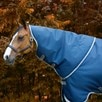 Amigo&reg; 1200D Hood - 