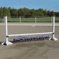 Burlingham Sports Birch Perfect Jump Poles