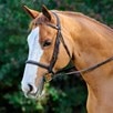 Plymouth&reg; Elite Hunter Bridle by SmartPak - Chocolate w/ White Fancy Stitching