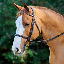 Plymouth® Elite Hunter Bridle by SmartPak