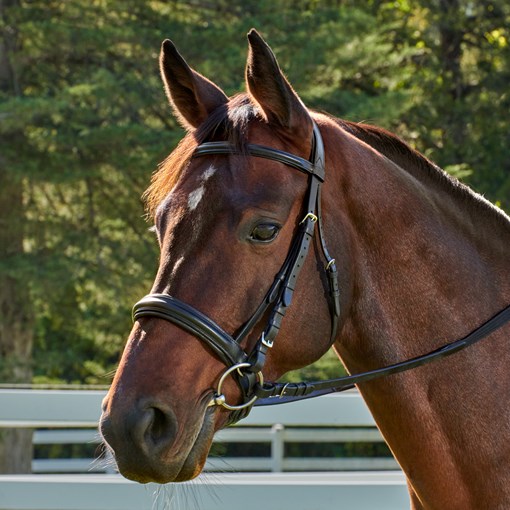 Plymouth Elite Dressage Bridle by SmartPak