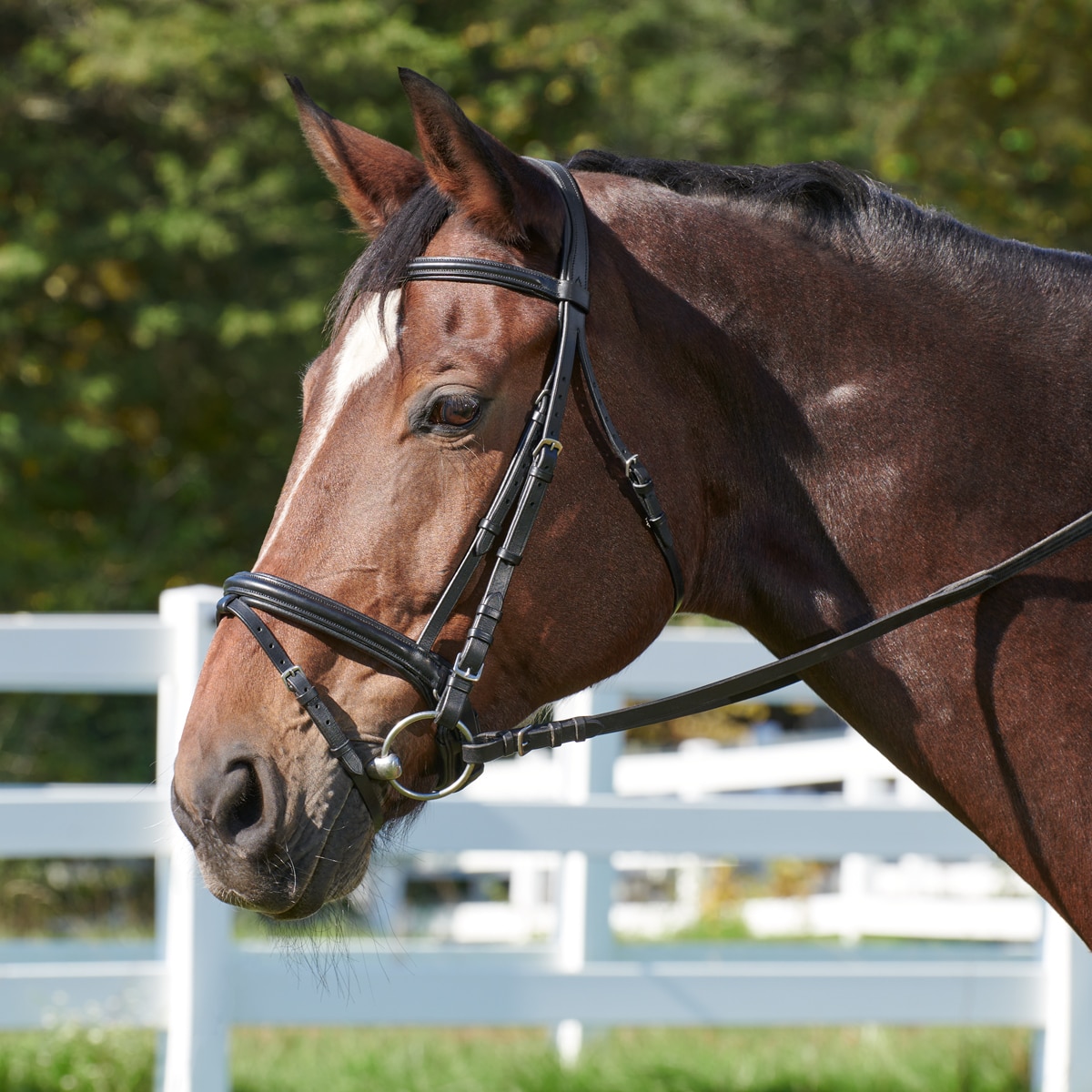 Bride De Chasse Plymouth Elite Par SmartPak - Taille Cob, Cuir, Occasion