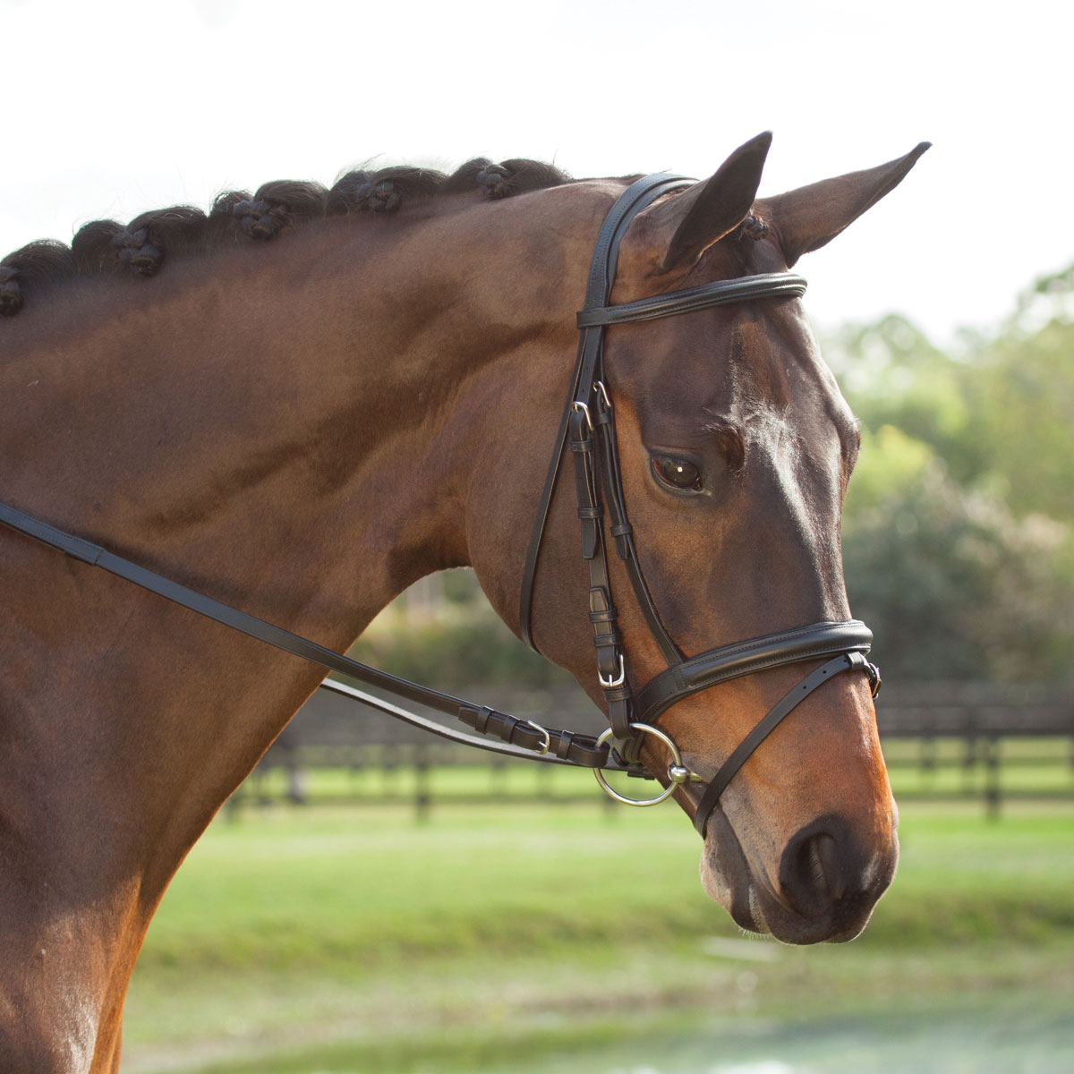 Plymouth® Elite Dressage Bridle by SmartPak