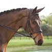 Plymouth&reg; Elite Dressage Bridle by SmartPak - Clearance! - Flash/Plain