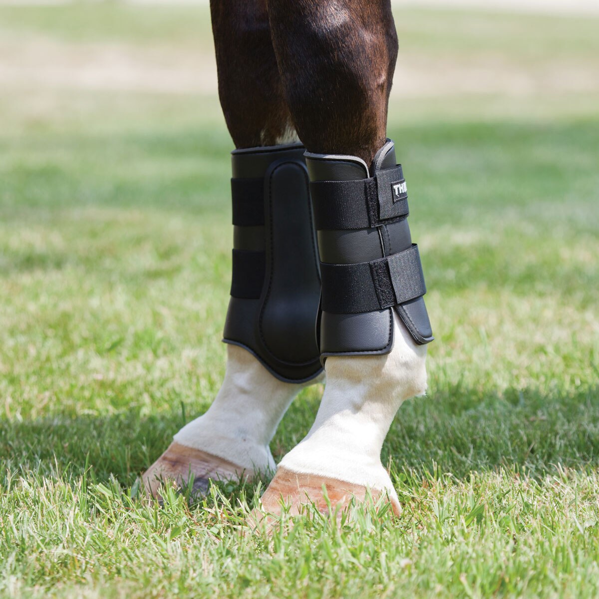 White Horse Boots - SmartPak