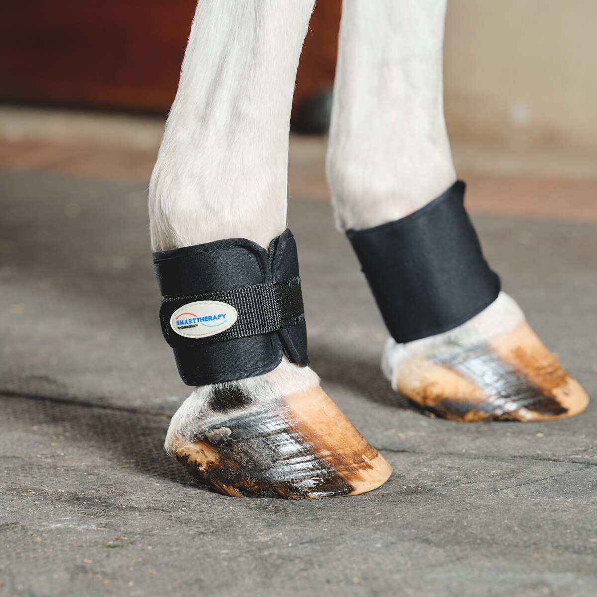 Kentucky Pastern Wraps (Pack Of 2) - Equine