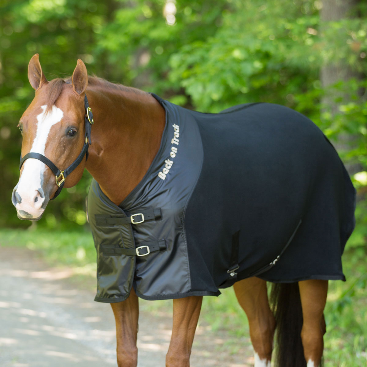 Action Brand 5" Padded Felt/Nylon Full Size Neck Sweat Horse Tack Equine 