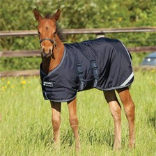 Amigo® Foal Turnout Blanket