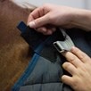 Horseware&reg; Interchangeable Liner - Navy/Navy