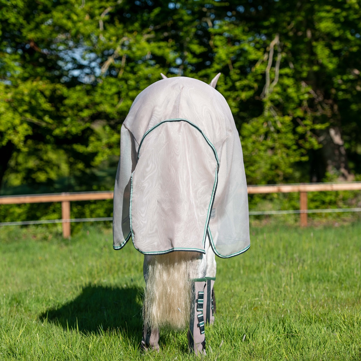 Horseware Rambo Protector Plus – EJ Wicks
