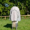 Rambo&reg; Fly Buster with No-Fly Zone&trade; - Oatmeal/Sage, Beige & Green